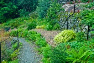 A garden path