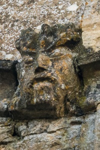 The 'Tree Nose' style Green Man
