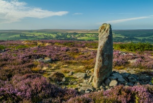 Standing stone on the moors above Danby