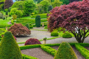 Topiary and formal parterre beds