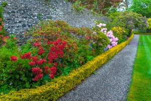 Colourful borders in the walled garden