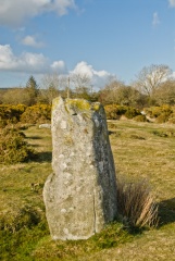 One of the larger stones