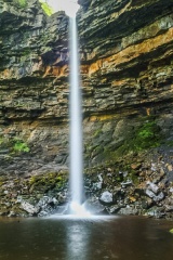 Hardraw Force in spring