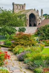 Melrose Abbey over the garden wall