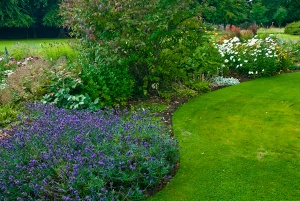 Sinuous flower beds in the garden
