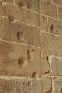 Civil War musket ball holes