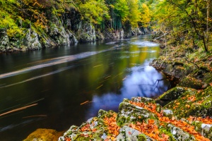 The River Garry