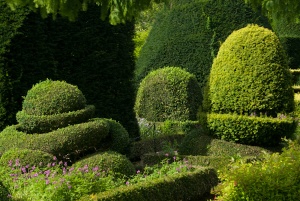 There are such a variety of topiary size, shapes, and colours!