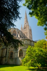 Norwich Cathedral