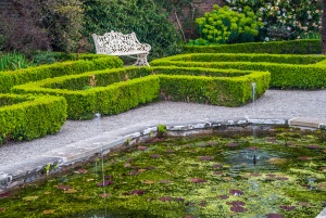 Formal garden hedges and a pool