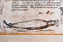 Corpse in a shroud, 1688