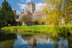 Wells Cathedral from the Bishop's Palace
