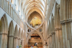 Nave and Scissor arches