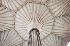 CHapter House vaulting
