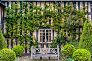 Topiary behind the 16th century hall