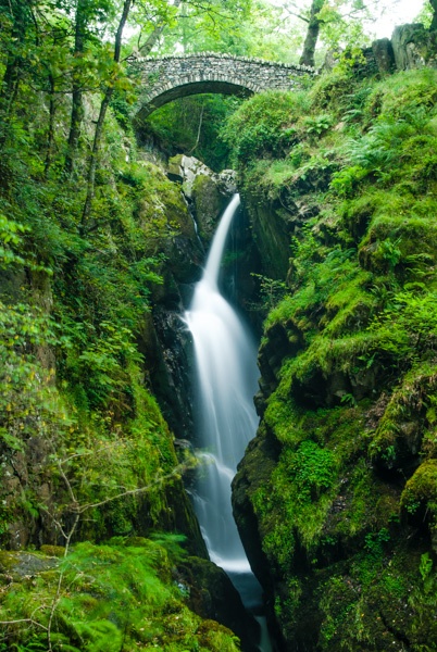 Aira Force