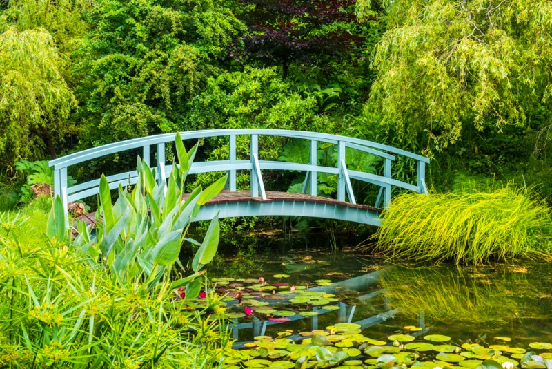 The Monet Bridge at Bennett's Water Gardens