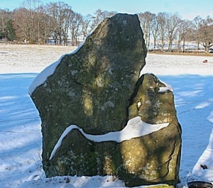 Camus's Stone (c) Anne Burgess