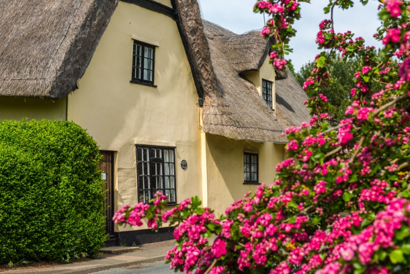 A typically pretty thatched cottage in Chelsworth