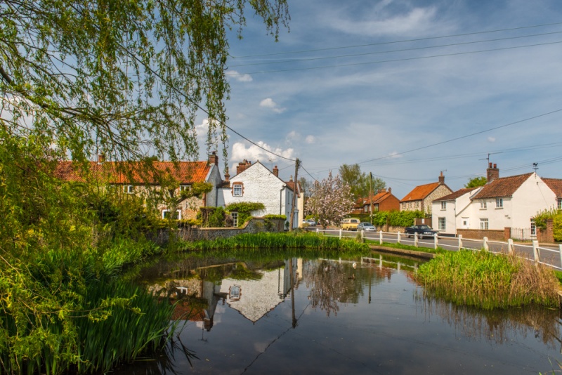 The village duckpond at Docking, Norfolk