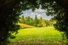 Looking into the sunken lawn