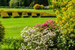 The sunken lawn from the south