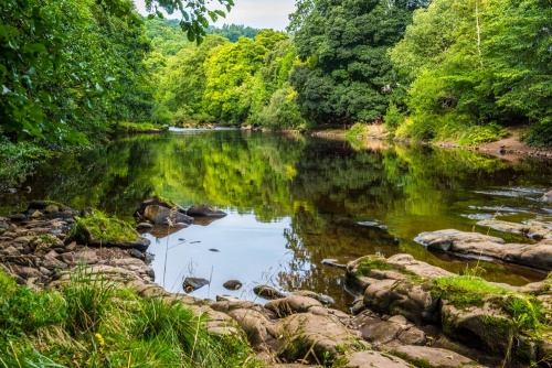 The River Swale, Hudswell Woods