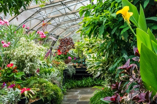 Inverness Botanic Gardens, tropical glasshouse