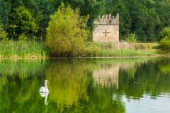A swan swims in front of the folly