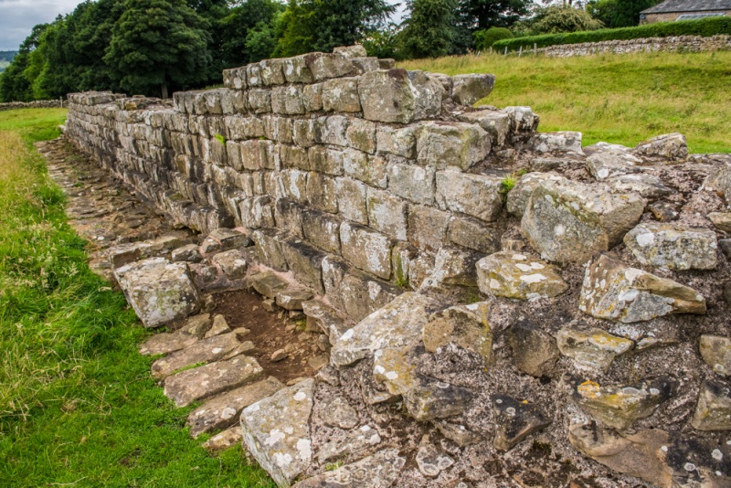 Planetrees Roman Wall