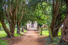 The yew avenue to the church