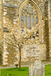 Rye churchyard
