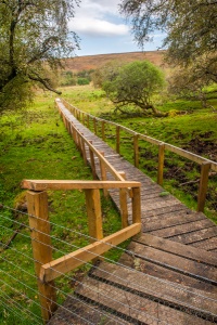 The boardwalk leading to the cairn