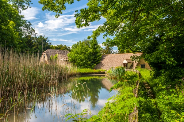 Stanway Watermill mill pond
