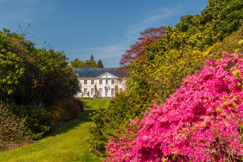 Stody Lodge Gardens in May