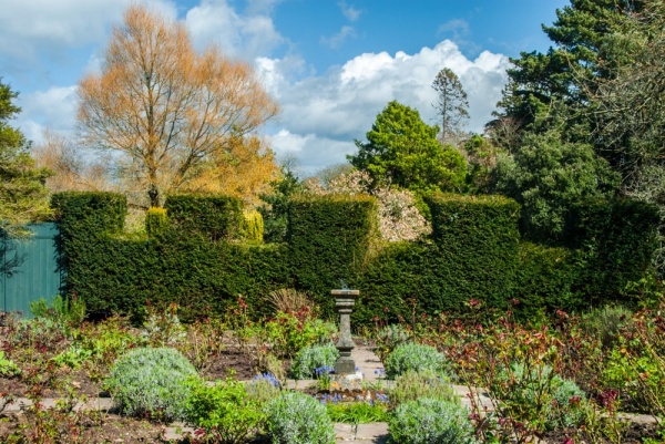 Upton Castle Gardens in spring