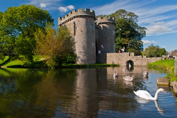 Swans in the moat of Whittington Castle