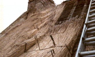 Leo Woods thatched roof