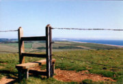 Abbotsbury
