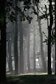 Tatton Park