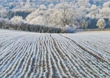 Winter Field, Little Rissington, Gloucestershire