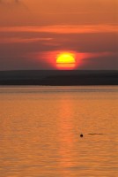 Photo of summer sunrise at Finstown, Orkney Islands.