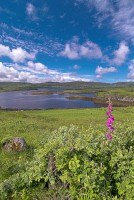 Stock photo of Dunvegan countryside scene on the Isle of Skye, Scotland. Part of the Britain Express Travel and Heritage Picture Library, Scotland collection.
