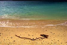 Coral Beach, north of Claigan