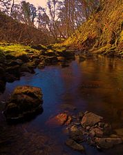 Rha glen, near Uig