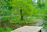 A quiet lochan in the upper garden