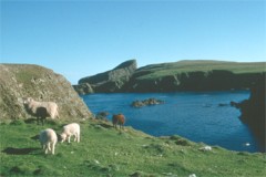 Goat Fell