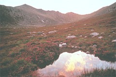 Goat Fell