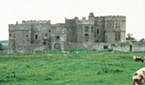 Carew Castle