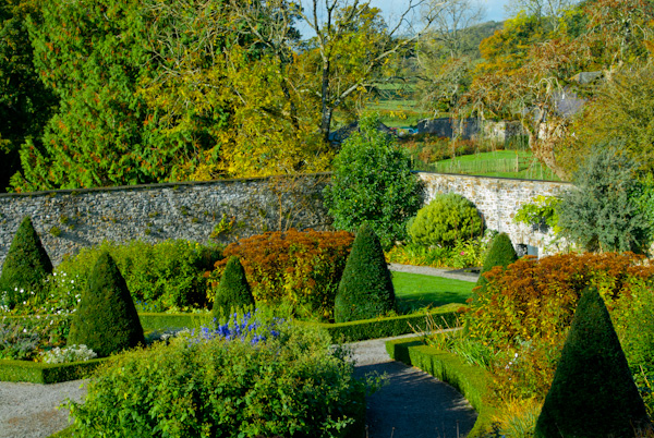 Aberglasney formal garden